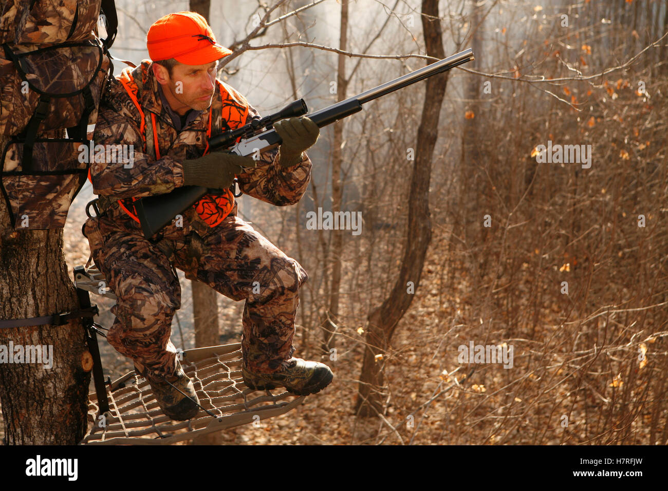 Whitetail Deer Hunter In Tree Stand With Muzzleloader Stock Photo - Alamy