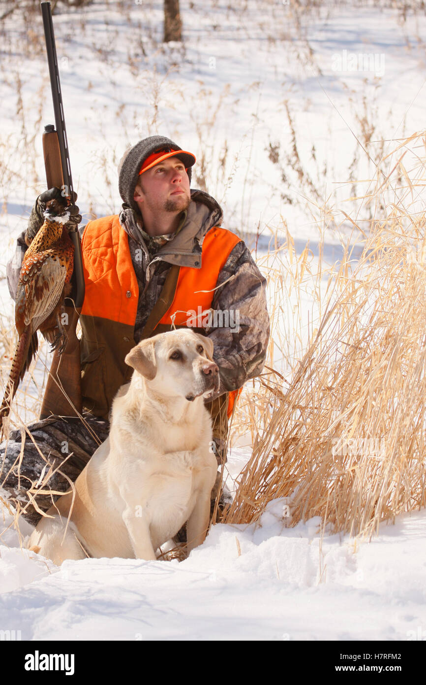 Female Pheasant Hunter In Winter With Yellow Lab Stock Photo