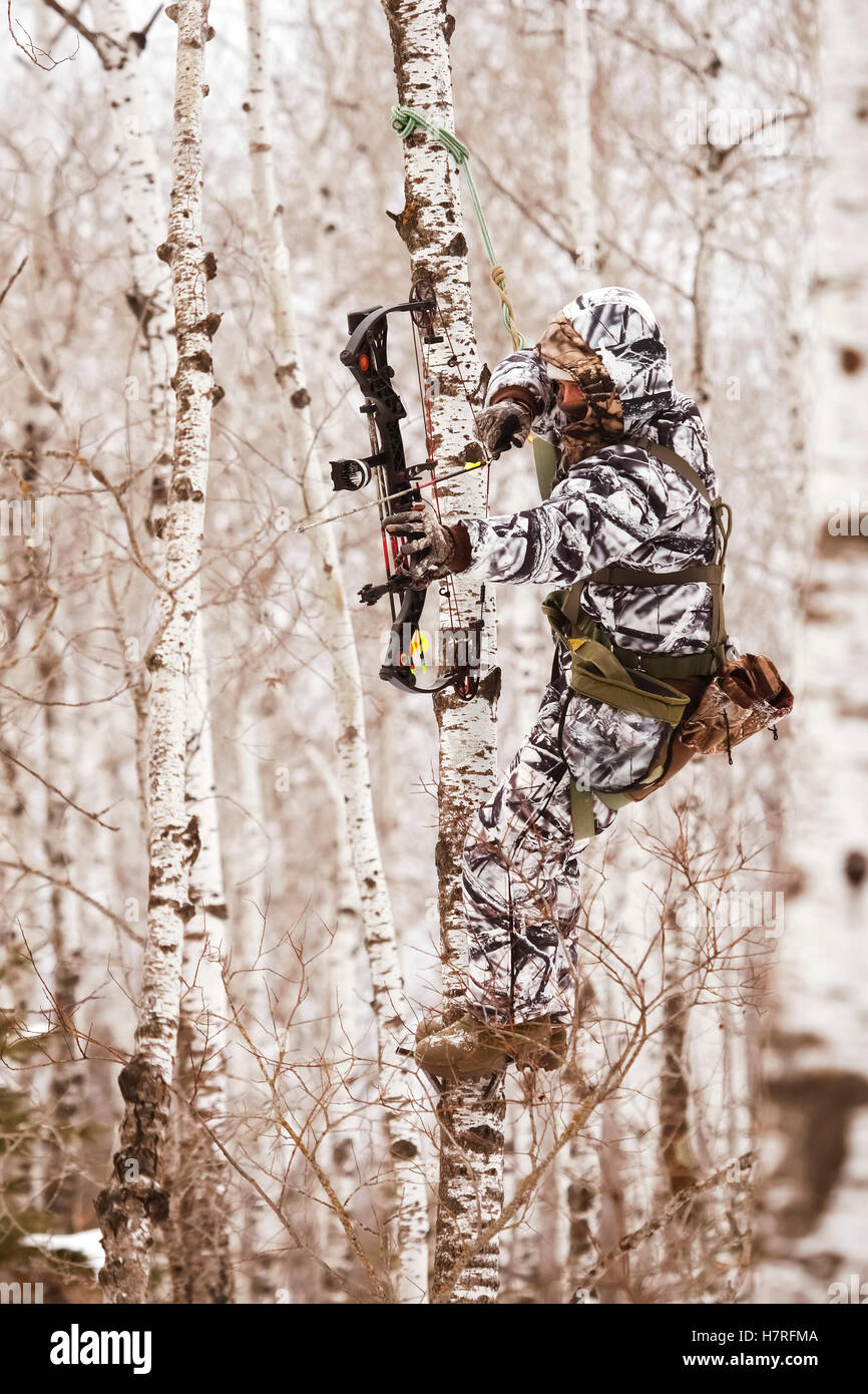 Bowhunter Hunting Deer In Tree Stand Stock Photo Alamy