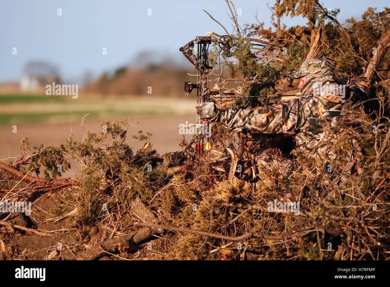 Turkey Hunter Sits In Ground Blind Made From Natural Materials Stock Photo