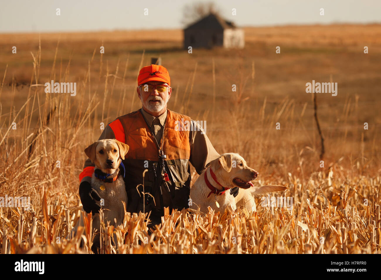 Pheasant hunting lanyard hires stock photography and images Alamy