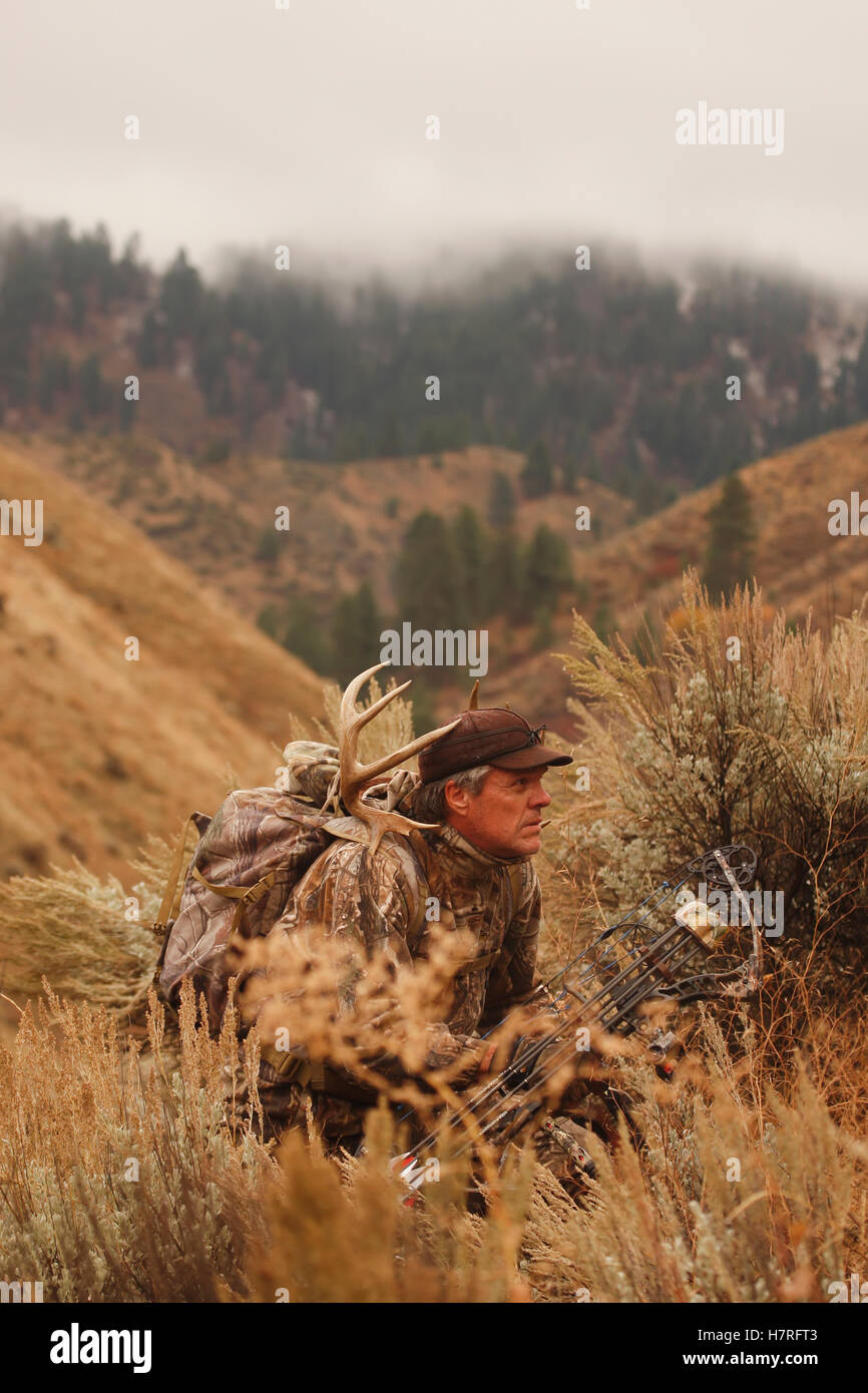 Bowhunter Ground Hunting Stock Photo