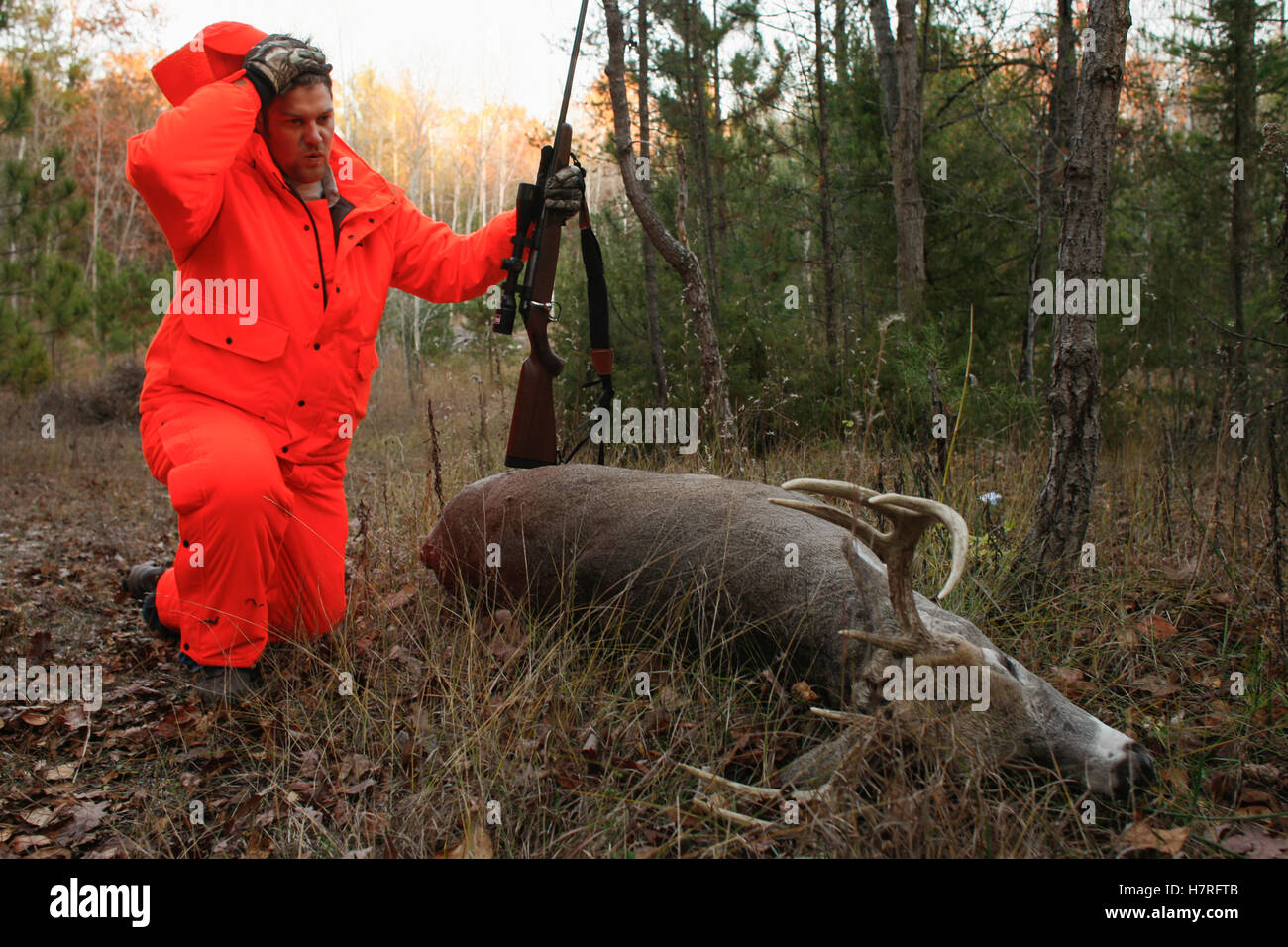 Whitetail Deer Hunter Stops To Rest While Dragging Dead Deer Stock
