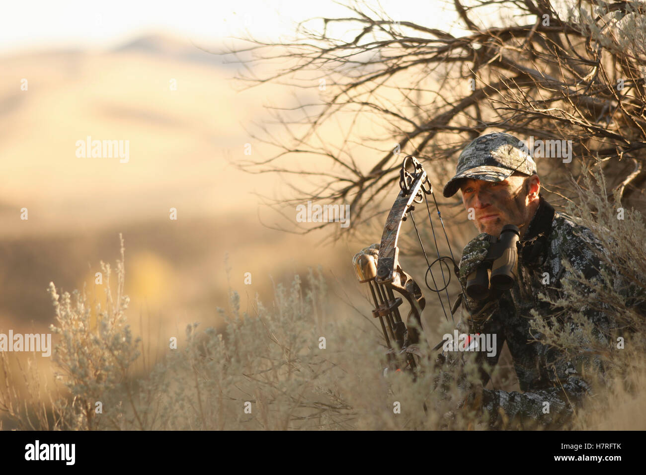 Bowhunter Ground Hunting Stock Photo
