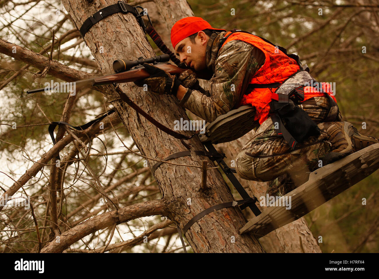 Whitetail Deer Hunter In Treestand Takes Aim With Rifle Stock Photo Alamy