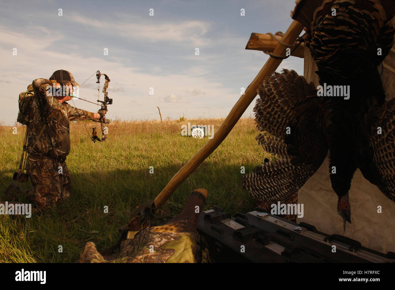 Archery Target Practice At Hunting Camp Stock Photo Alamy