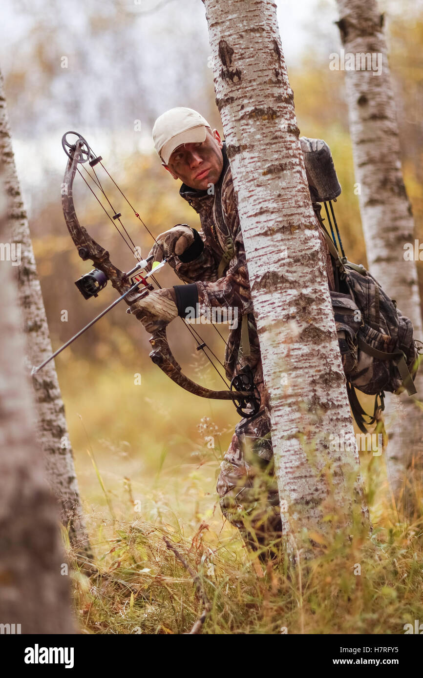 Bowhunter In Aspen Trees Stock Photo
