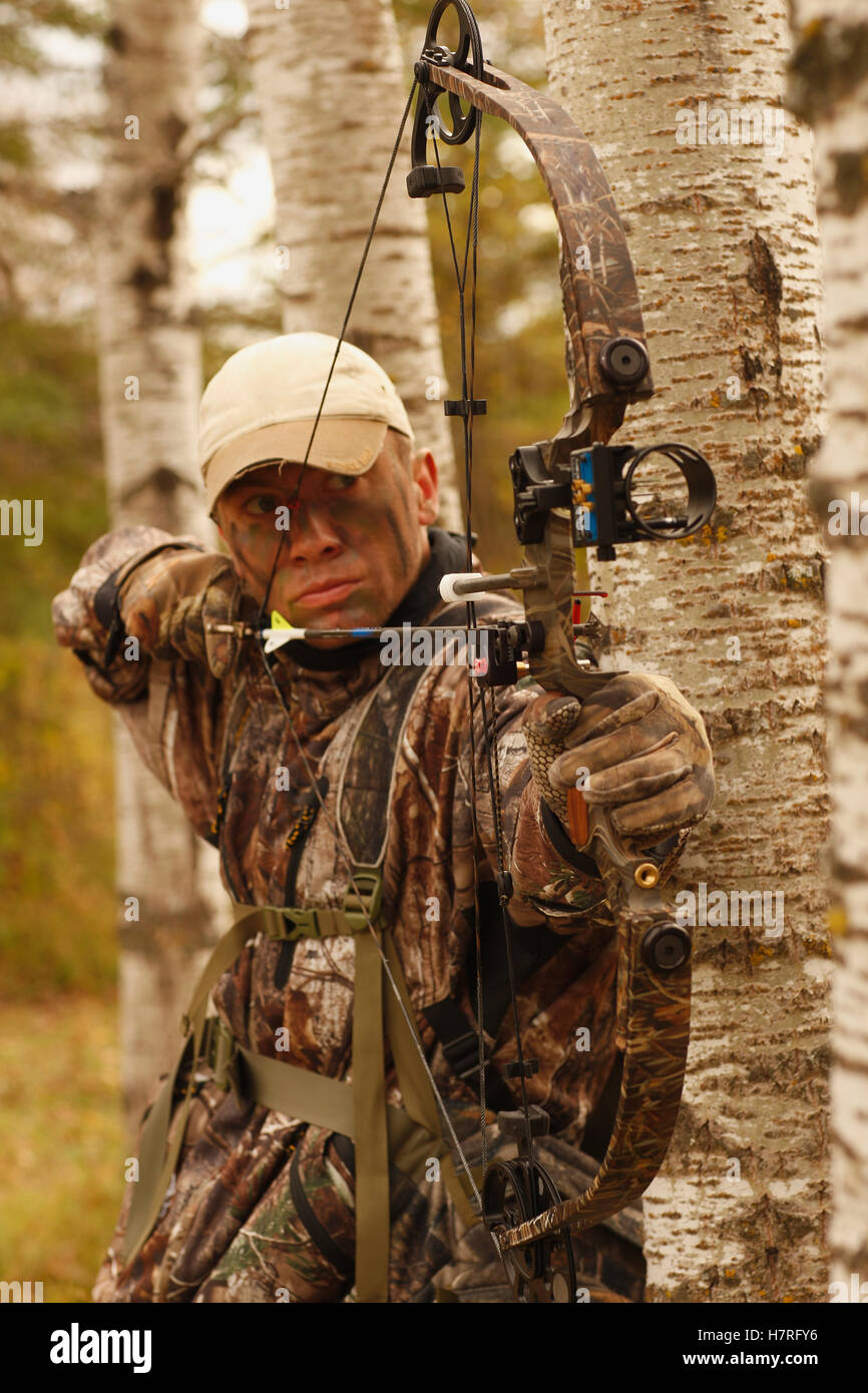 Bowhunter Drawing Bow In Aspen Trees Stock Photo