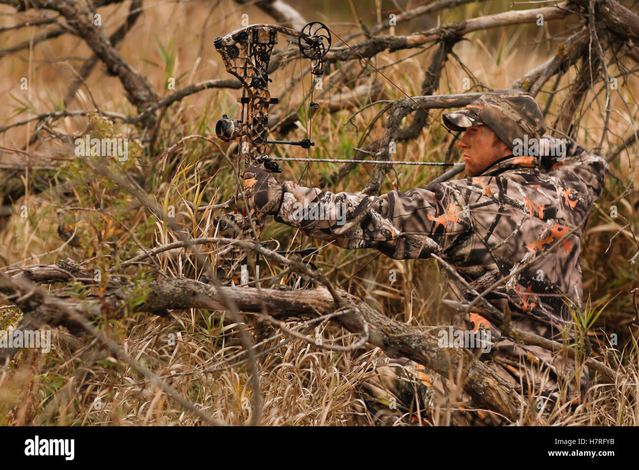 Hunter Drawing Bow For Ground Hunting Stock Photo
