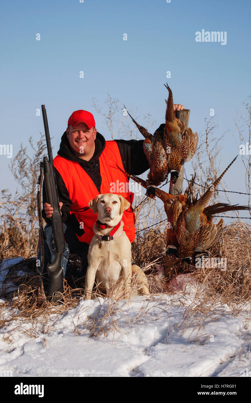 Caucasian pheasant hires stock photography and images Alamy