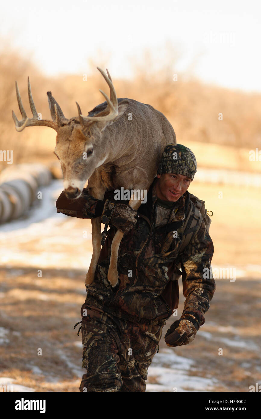 Stuffed Deer Being Carried By Photo Assistant Stock Photo