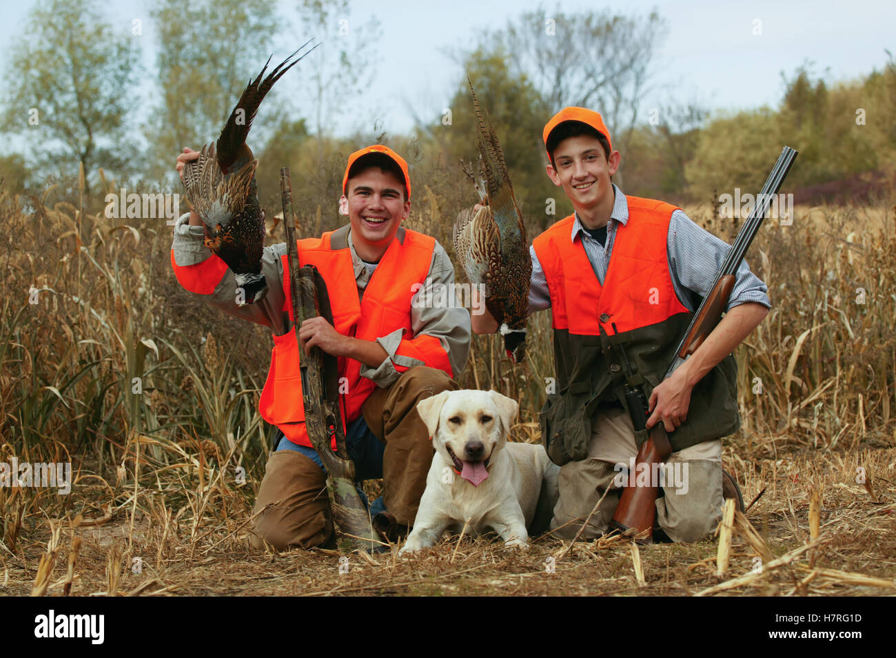 Youth Male Upland Hunters With Pheasant And Yellow Lab Stock Photo