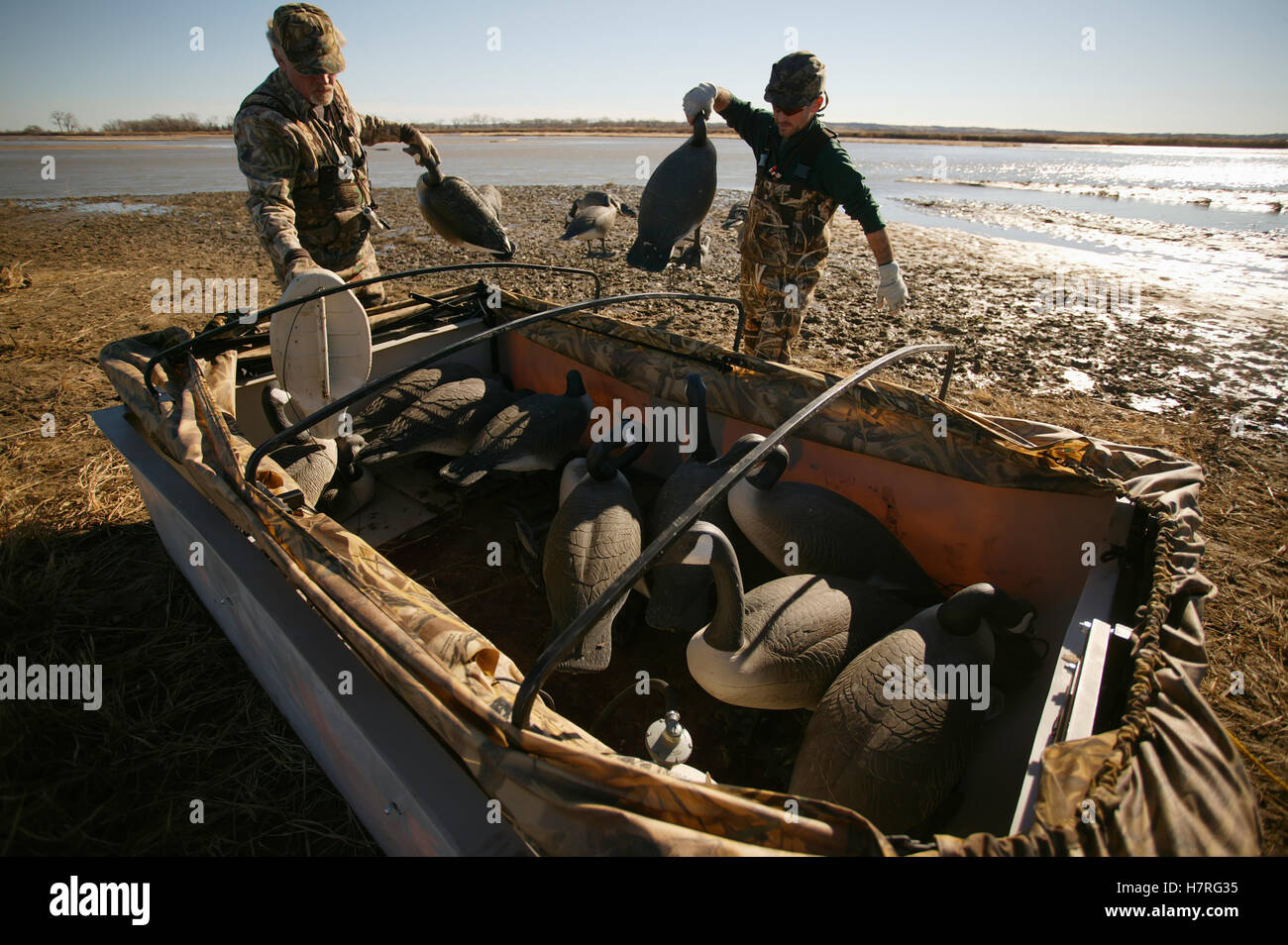 Waterfowl Hunters Setting Out Decoys Stock Photo Alamy