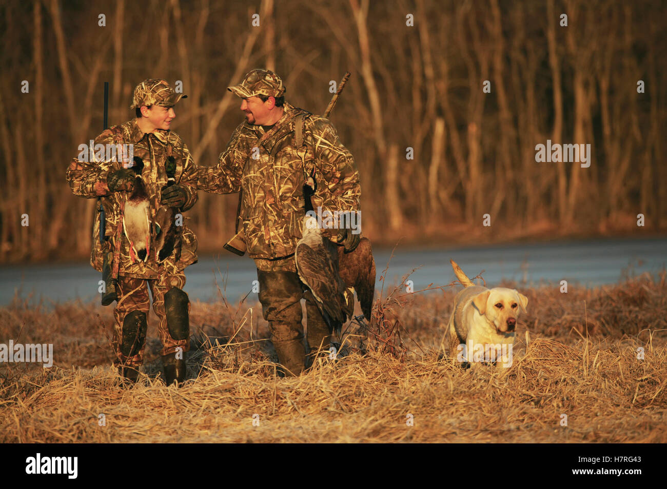 Father And Son Hunters Carrying Decoys And Birds Stock Photo
