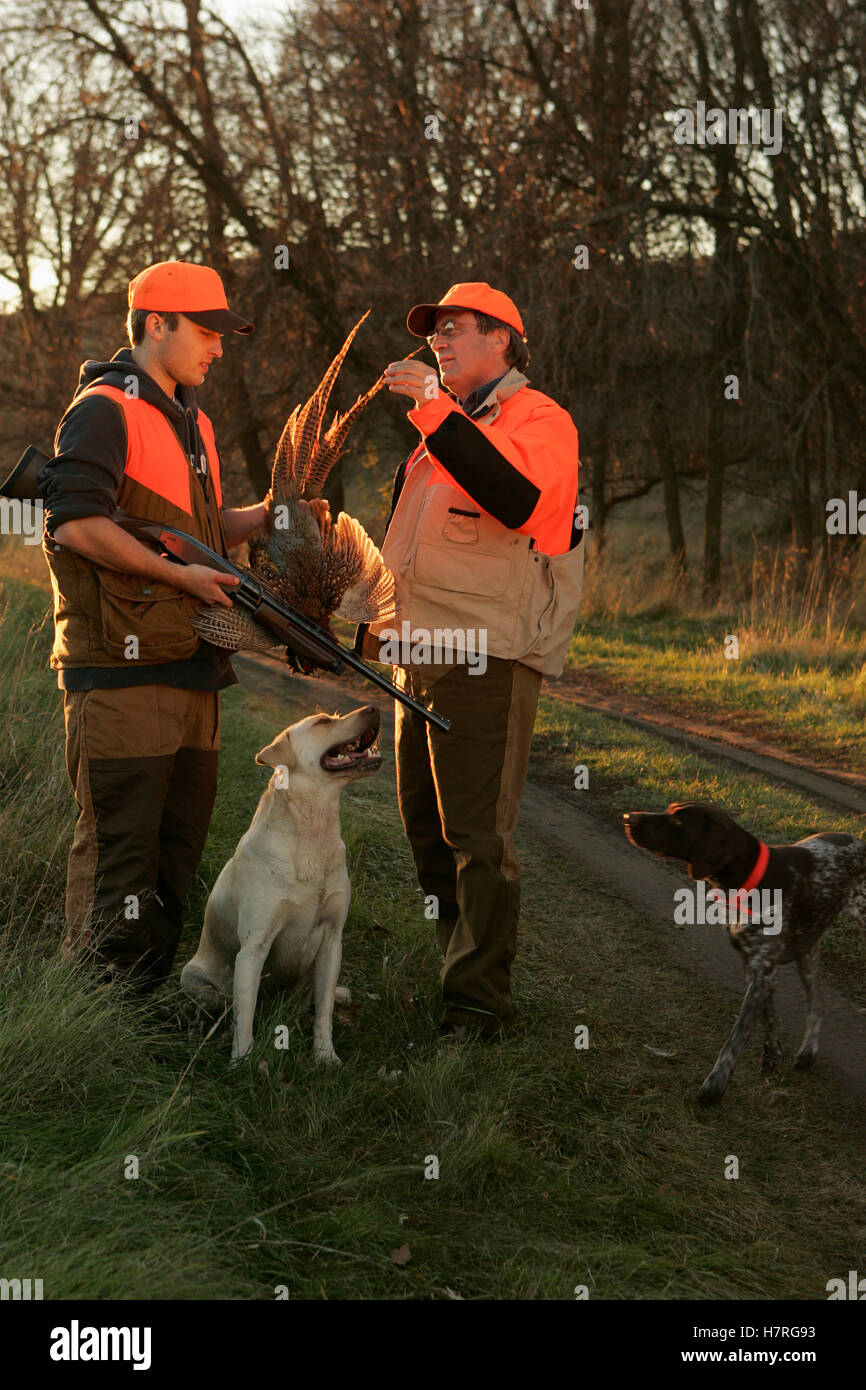 Father And Son Pheasant Hunting With Yellow Lab Stock Photo Alamy