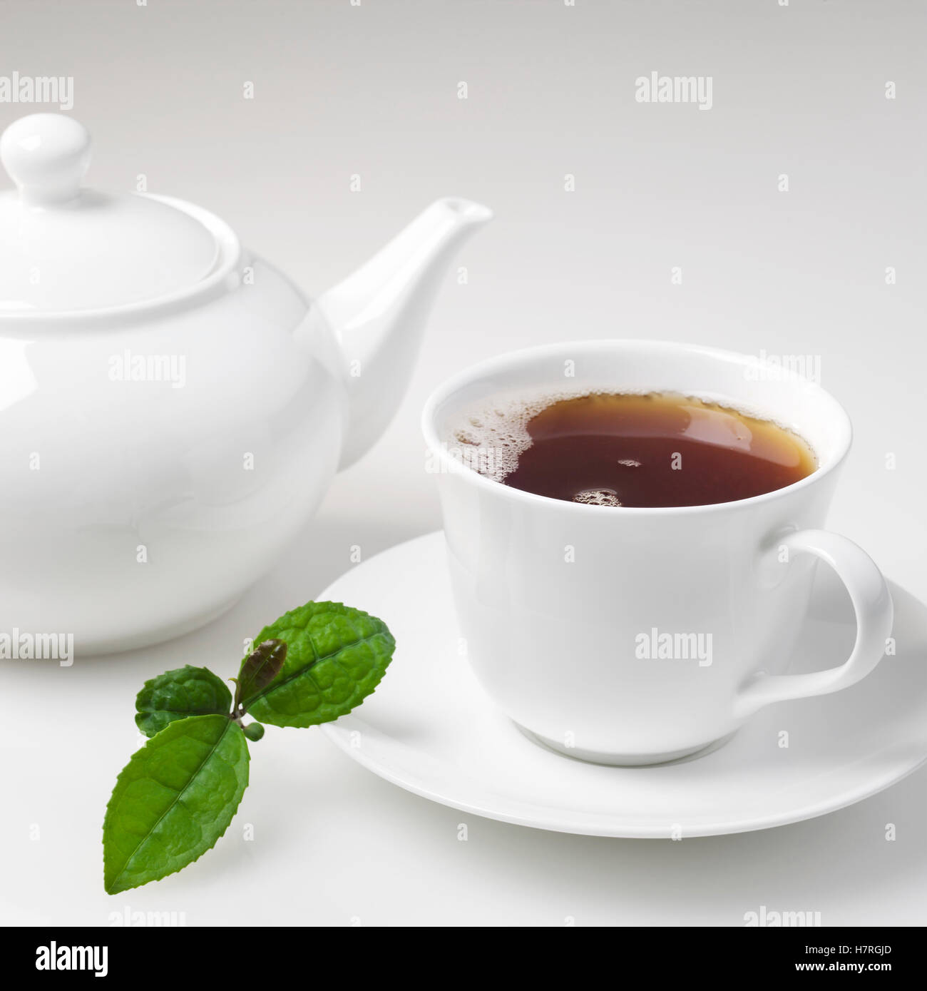 Teacup and teapot with mint leaves on a white background Stock Photo