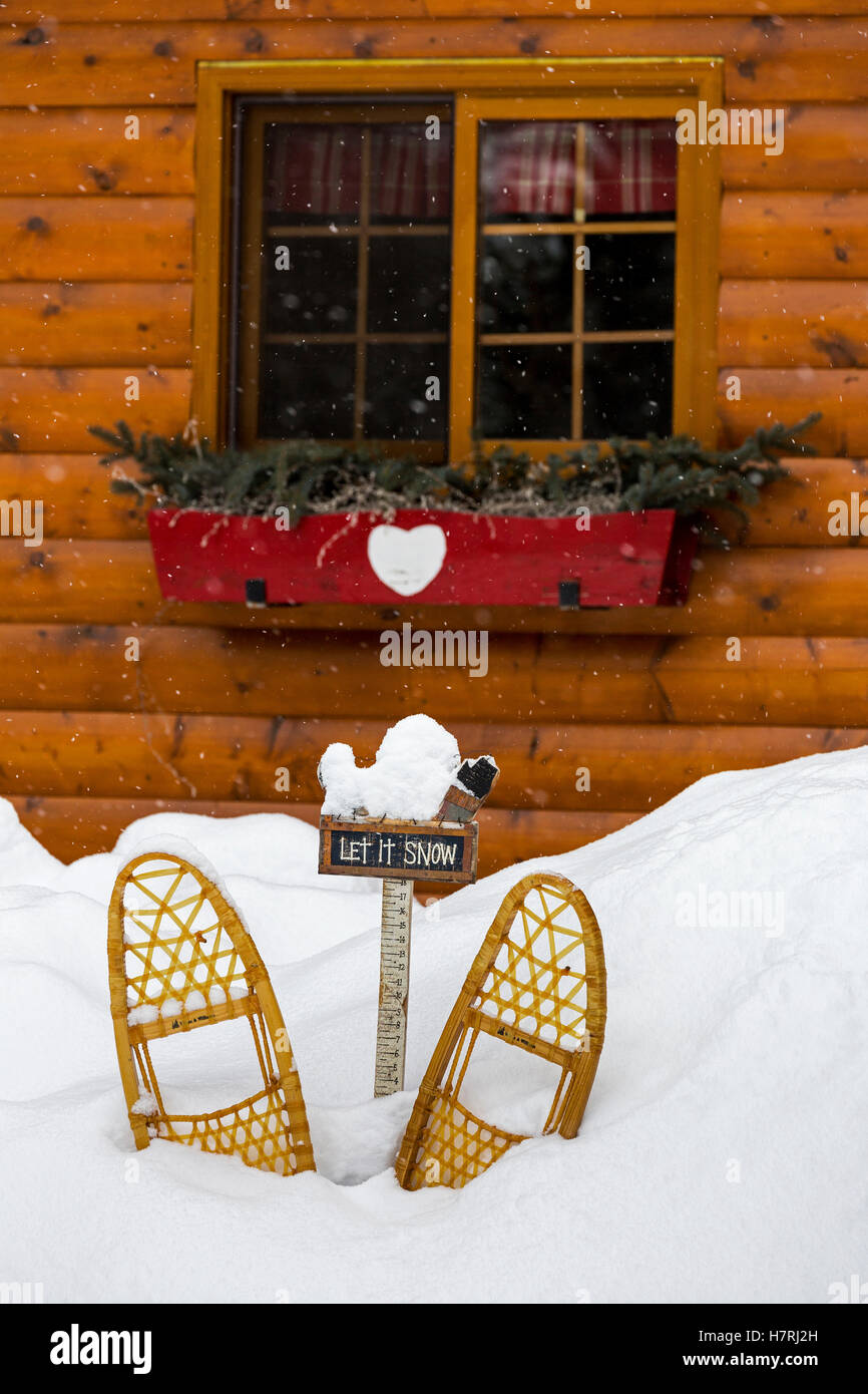 Old wooden snowshoes in snow in front of log cabin window with flower box; Lake Louise, Alberta, Canada Stock Photo