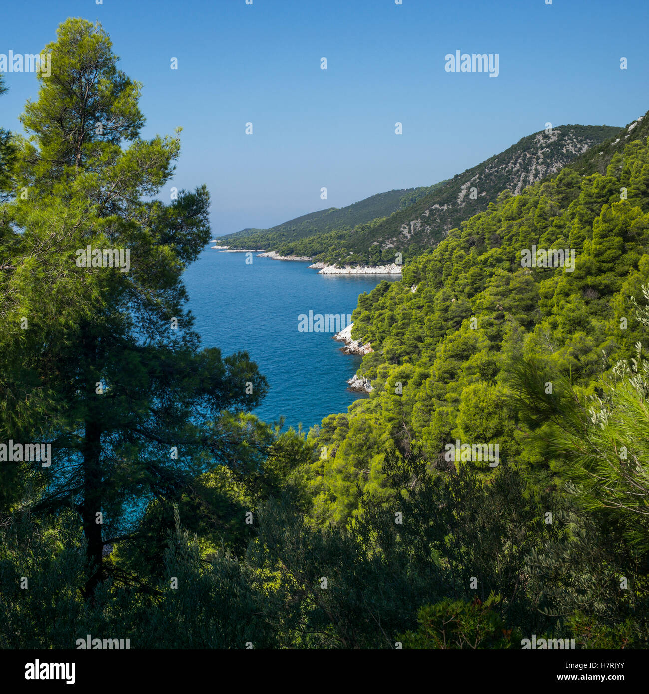 View of the coastline of a greek island with lush green foliage on the hillsides; Sporades, Thessalia Sterea Ellada, Greece Stock Photo