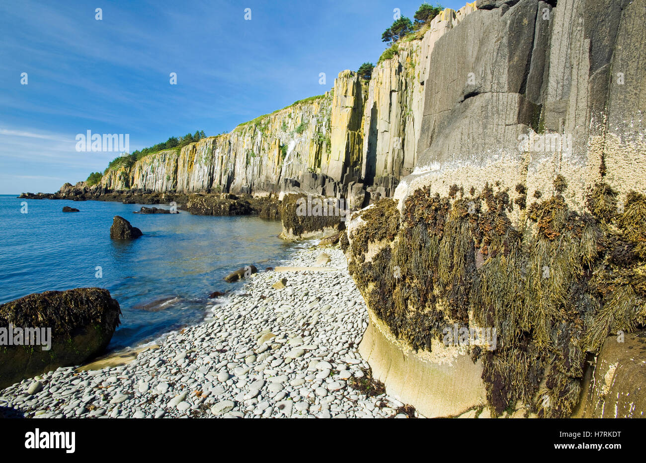 Basalt rock cliffs, Bay of Fundy; Brier Island, Nova Scotia, Canada
