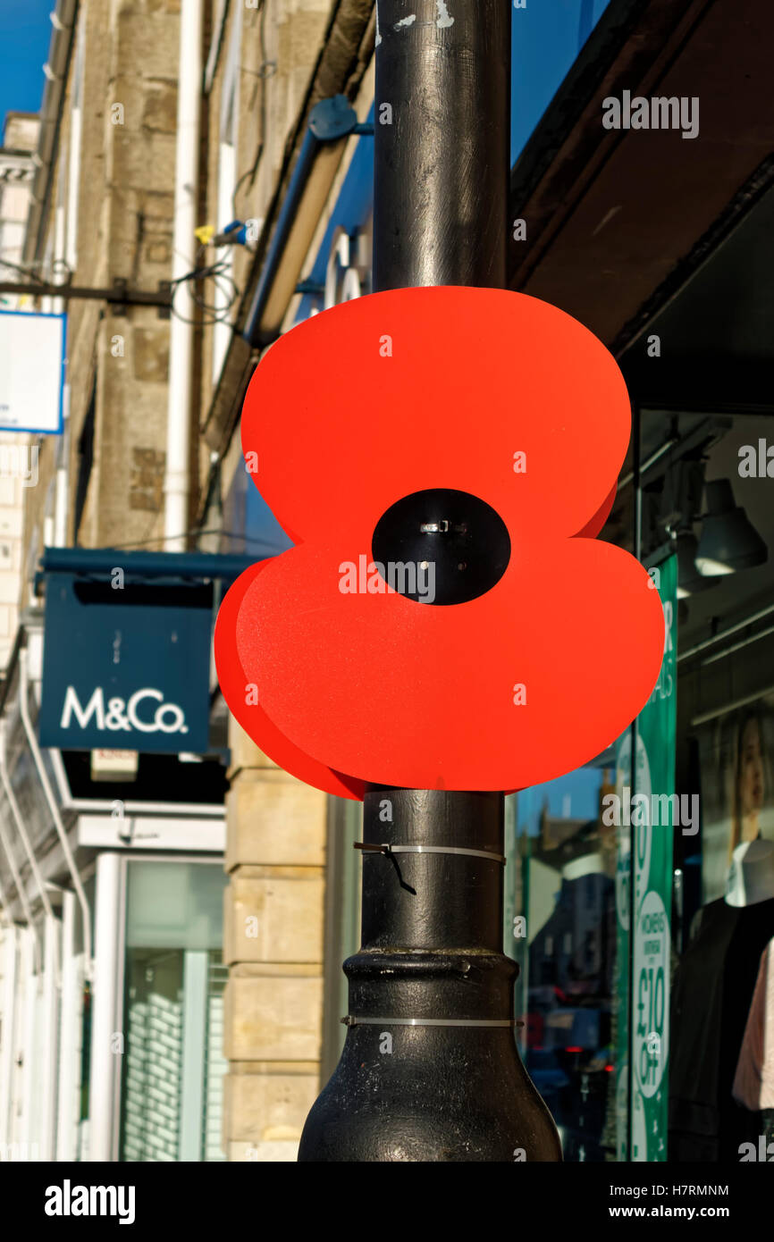 Warminster, Wiltshire, UK. 7th Nov 2016.  A large imitation poppy on a lamp post in the market town of Warminster, Wiltshire, to commemorate British and Commonwealth fallen soldiers Credit:  Andrew Harker/Alamy Live News Stock Photo