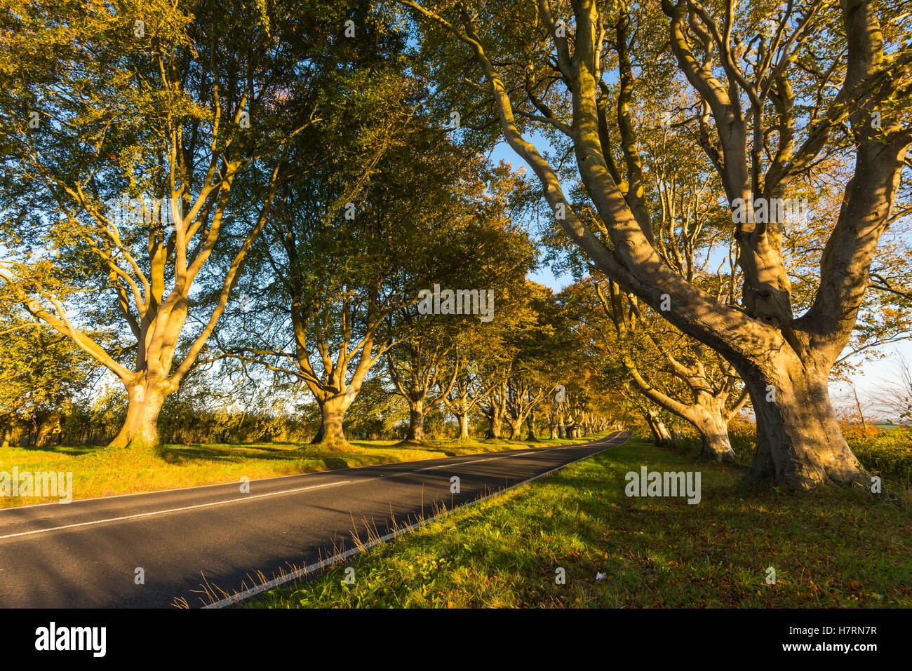 Maintained by the pr hires stock photography and images Alamy