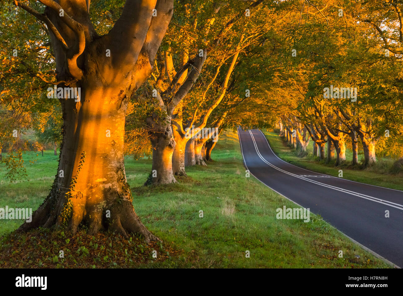Maintained by the pr hires stock photography and images Alamy