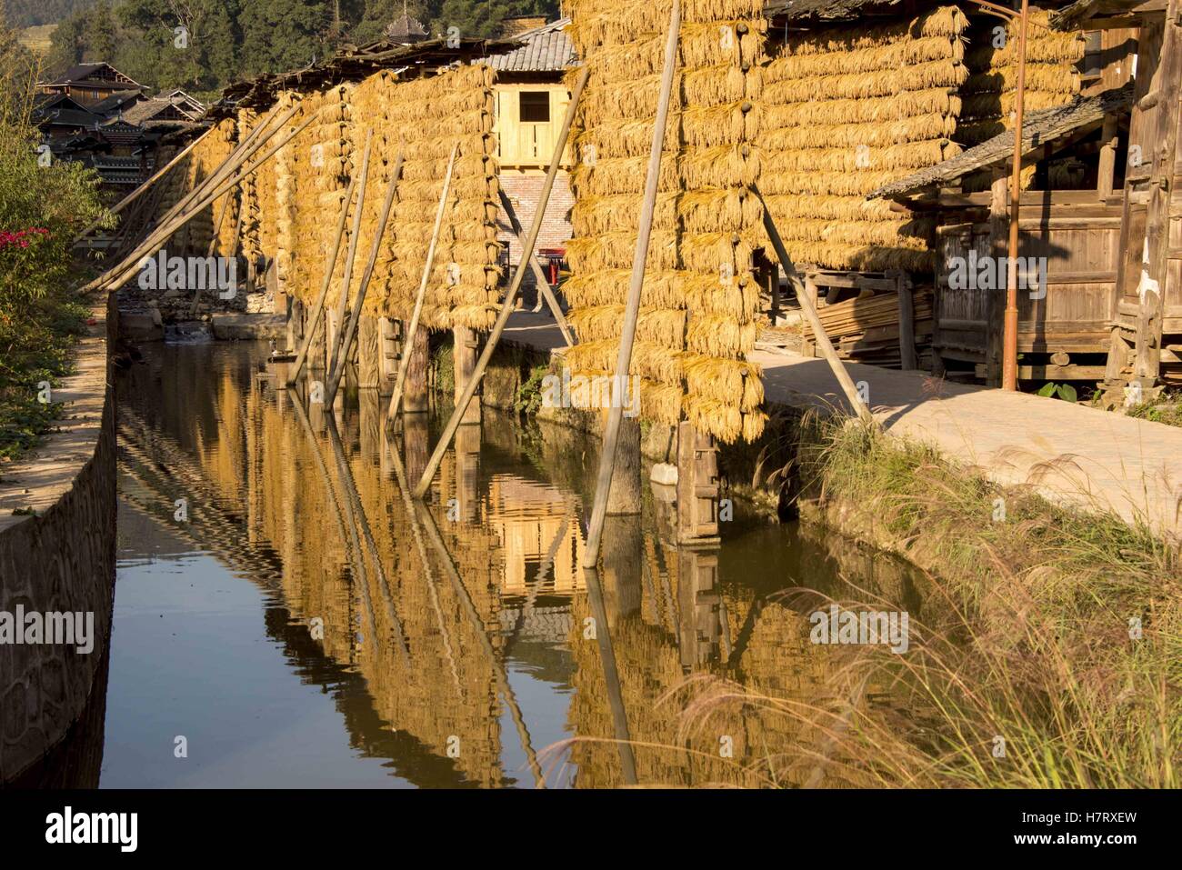 China. 4th Nov, 2016. Guizhou, CHINA-November 4 2016: (EDITORIAL USE ...
