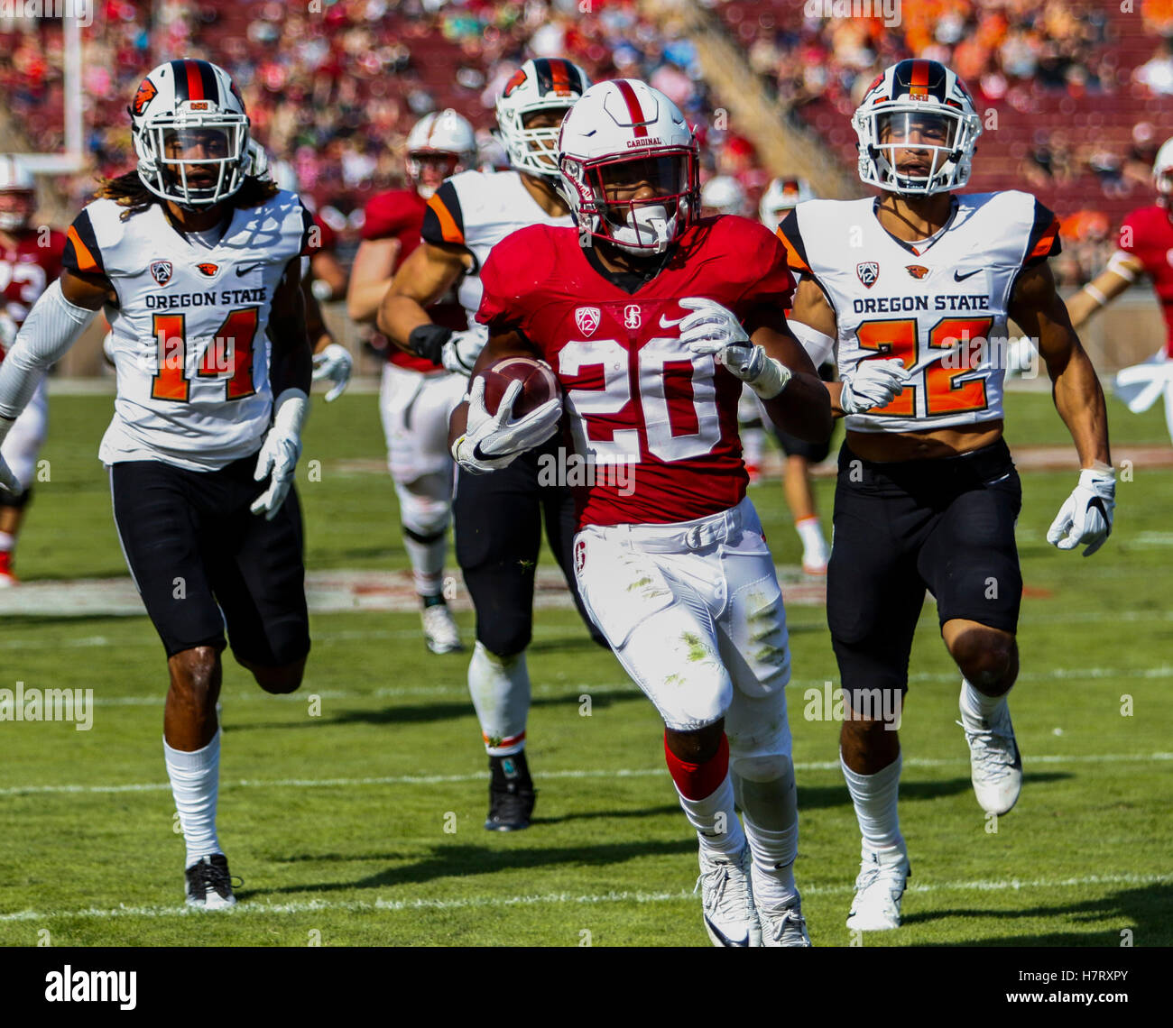 Palo Alto, California, USA. 5th Nov, 2016. Stanford Running Back Bryce ...