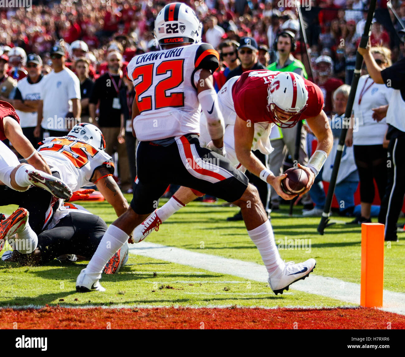Palo Alto, California, USA. 5th Nov, 2016. Stanford Quarterback Keller ...