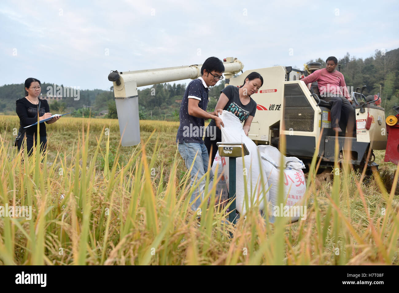 161108 Shanghang Nov 8 2016 Xinhua Couple Li Xiaowen And Stock Photo Alamy alamy