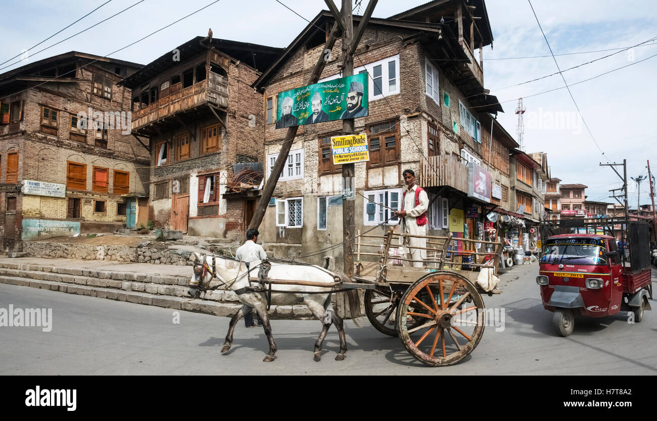 Mule cart and auto rickshaw in front of traditional buildings in the old town Stock Photo