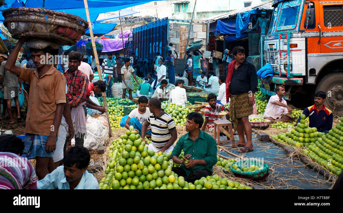 Orange seller and porters in wholesale fruit and vegetable market Stock