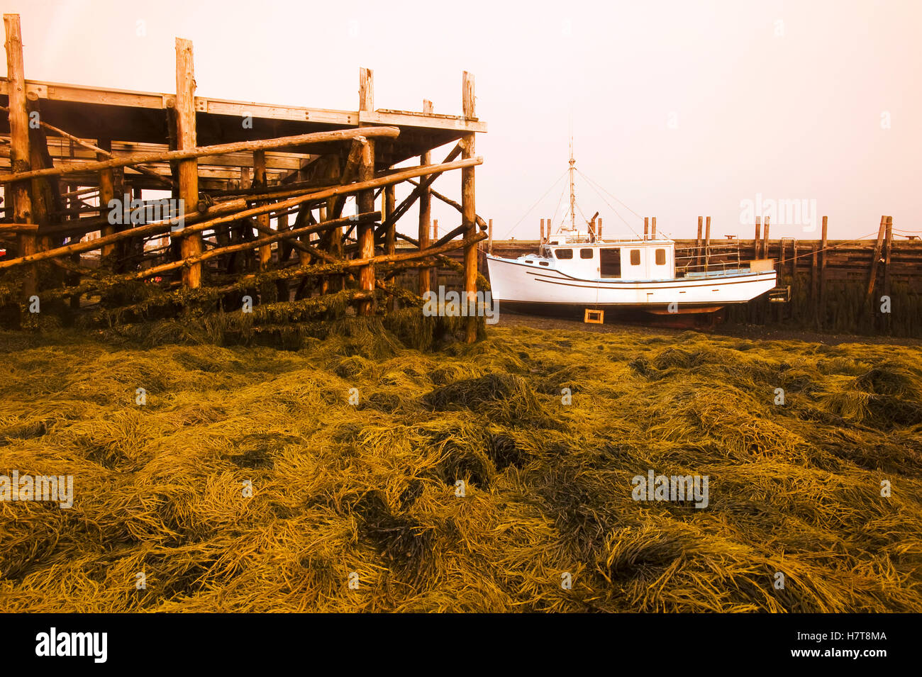 White boat at wharf during low tide; Brier Island, Nova Scotia, Canada Stock Photo