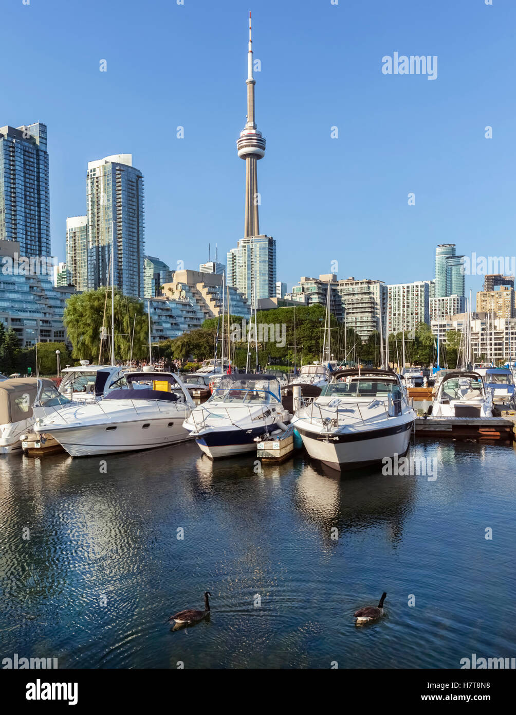 Traditional harbourfront architecture hires stock photography and