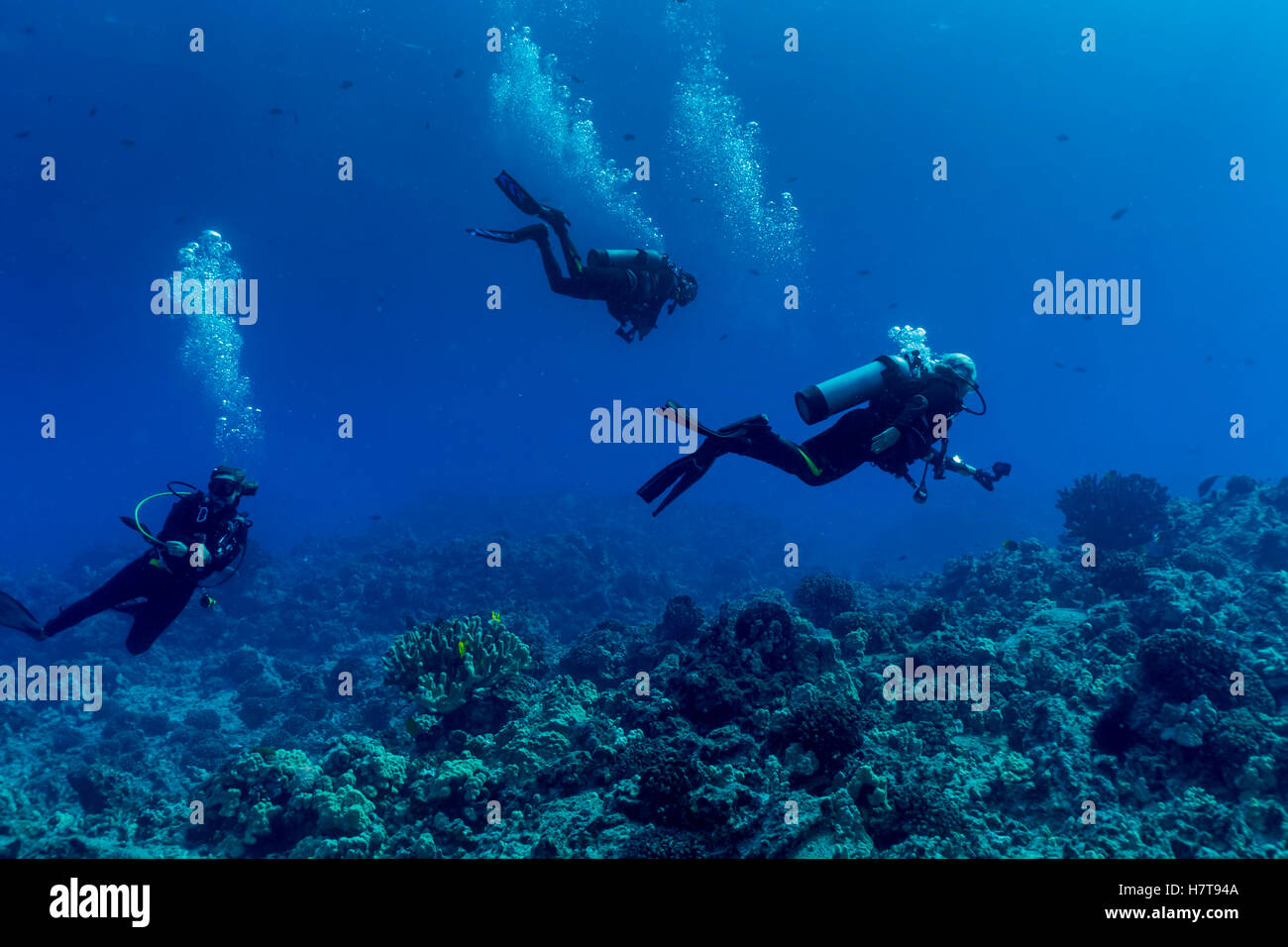 Scuba divers oxygen tank hi-res stock photography and images - Alamy