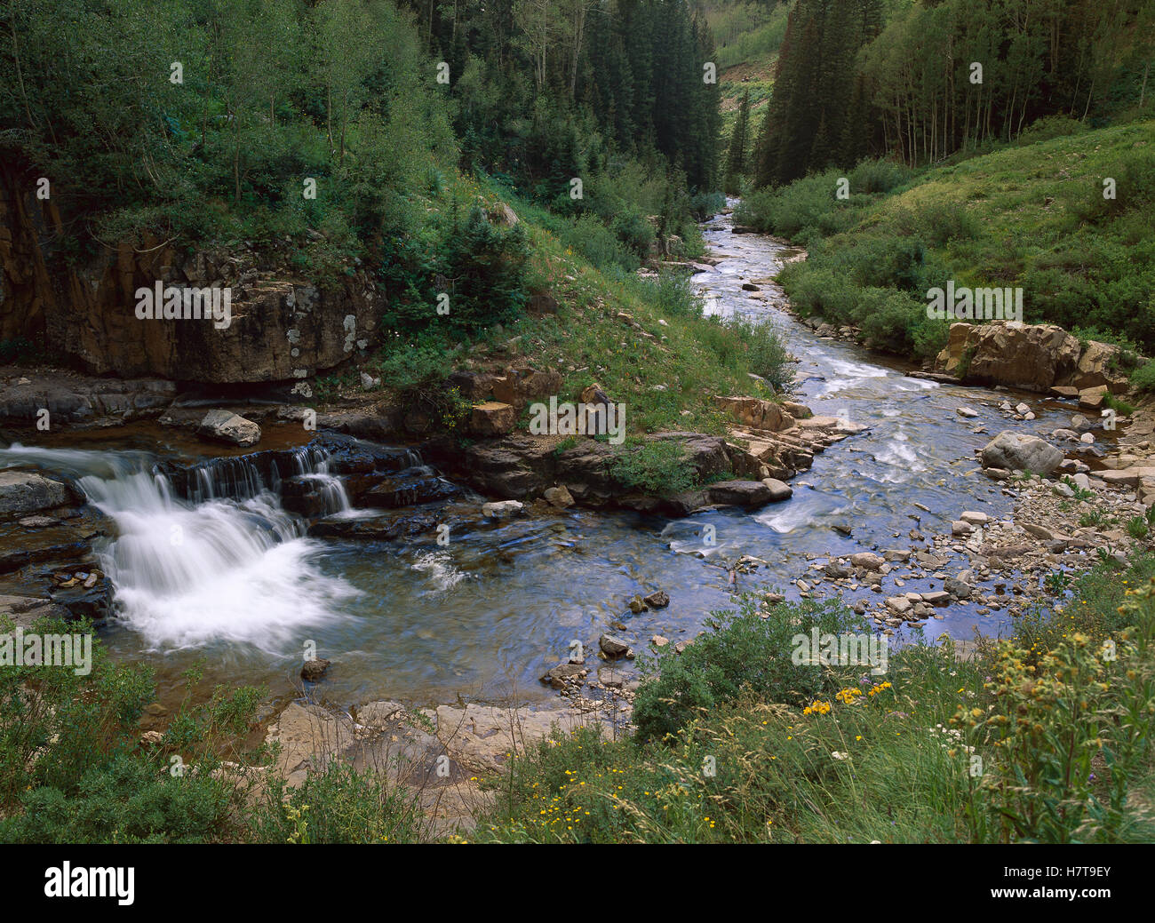 La Plata River, La Plata Canyon, San Juan National Forest, Colorado ...