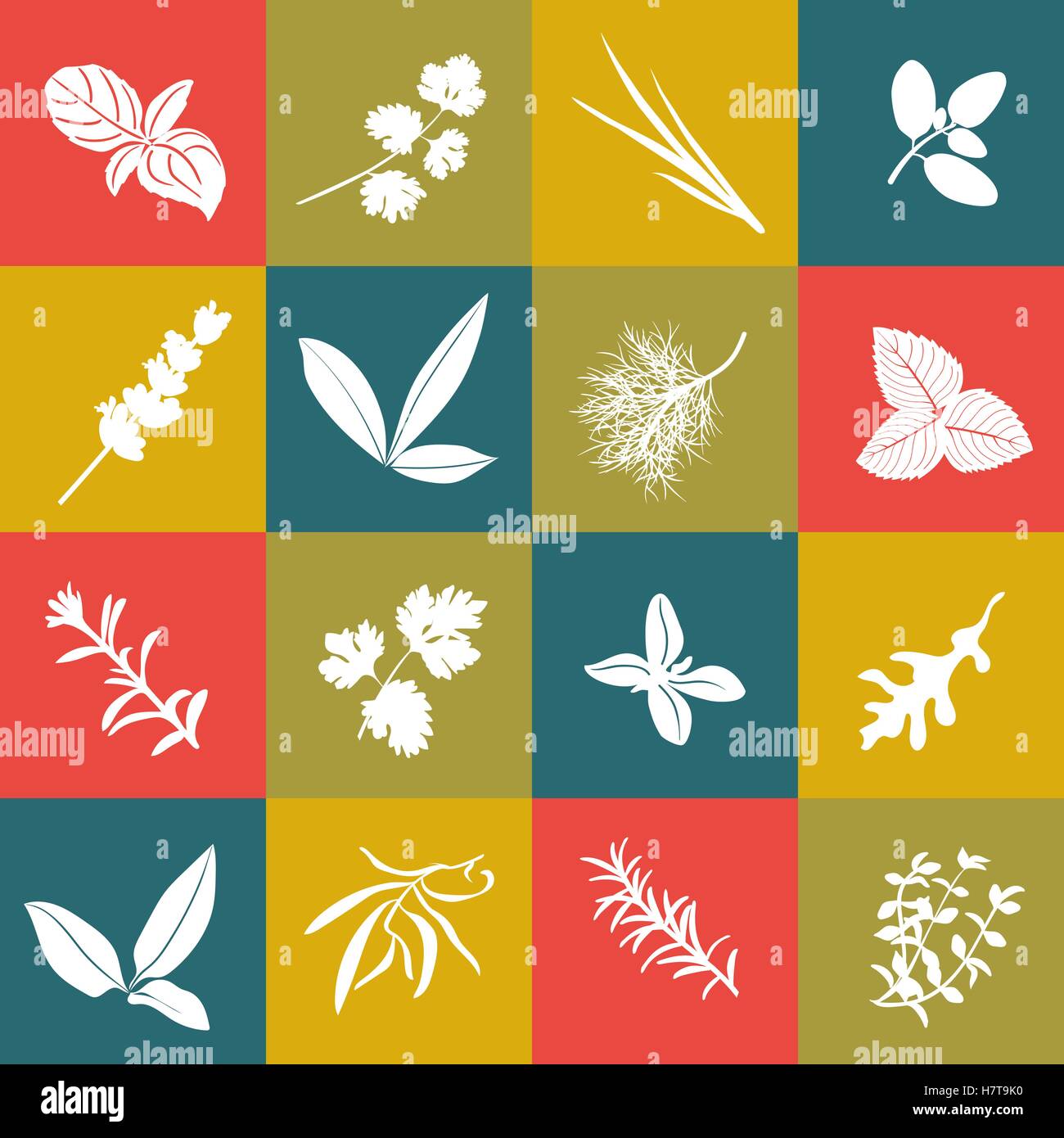 Herbs hand drawn vector squared icon big set. Popular culinary herbs. Basil, coriander, arugula, marjoram, mint, bay leaves, sav Stock Vector