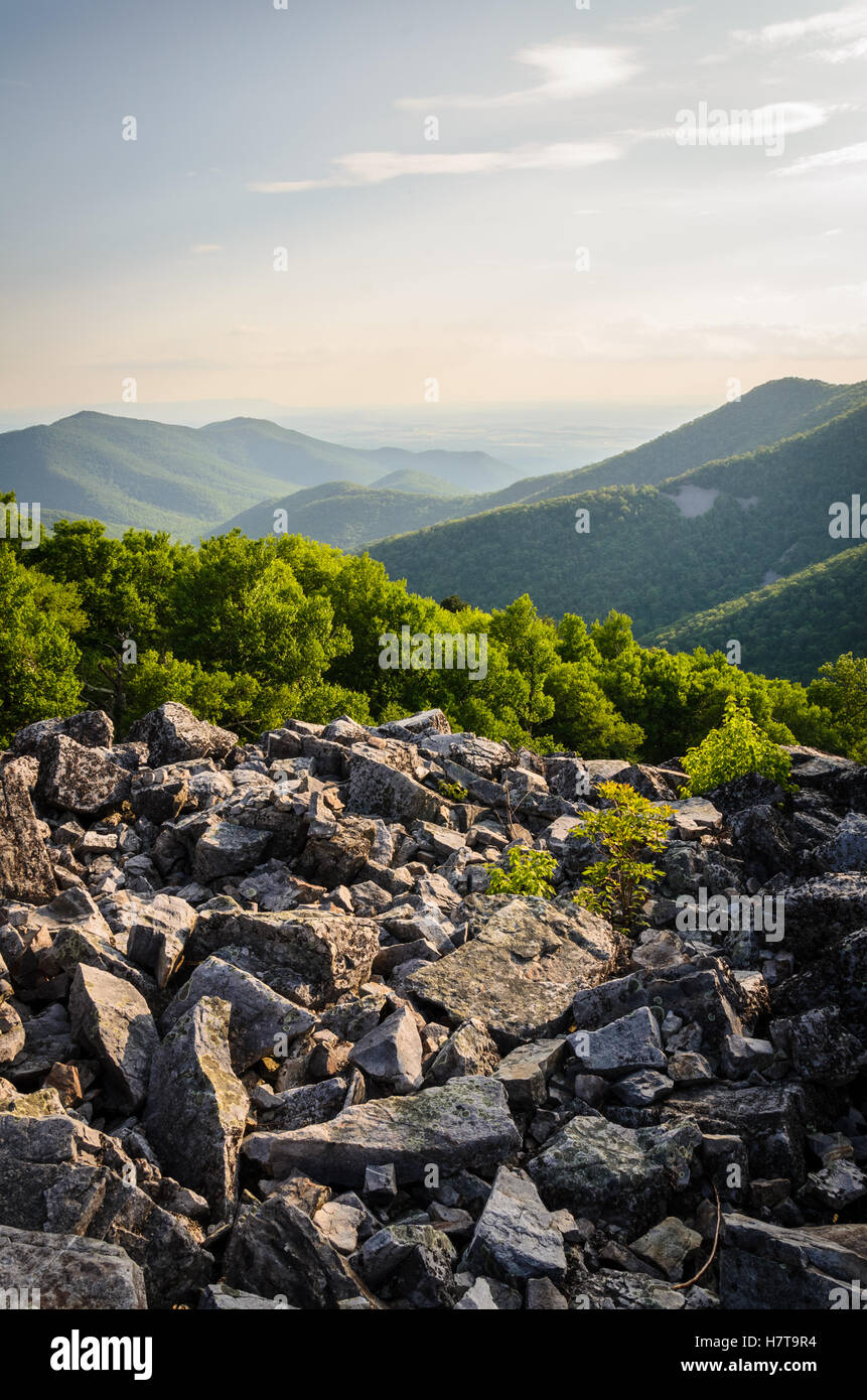 Shenandoah National Park Stock Photo