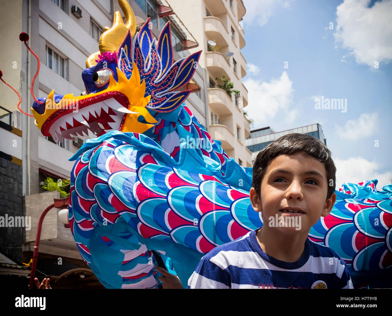 chinese new year in sao paulo
