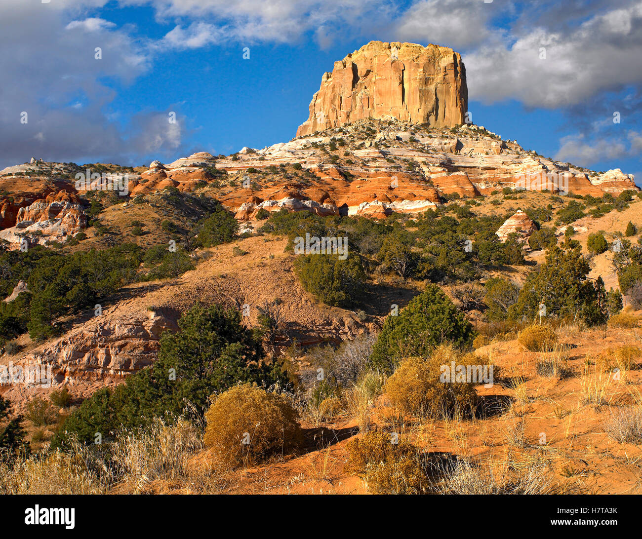 Square Butte near Kaibito, Arizona Stock Photo Alamy