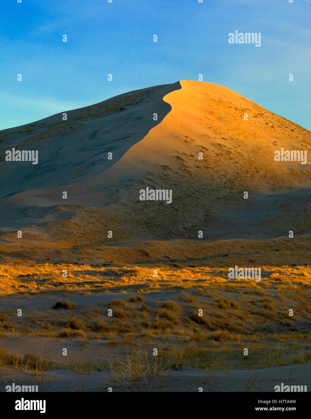 Kelso Dunes rising 600 feet over the desert floor, Mojave National