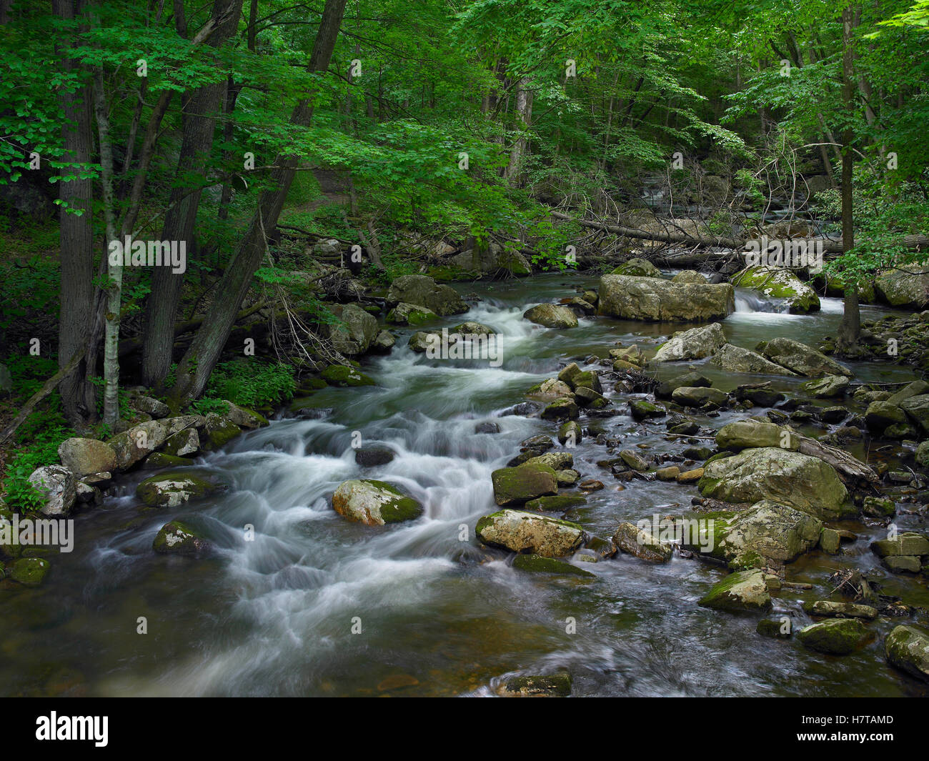 Little Stony Creek flowing through Jefferson National Forest, Virginia