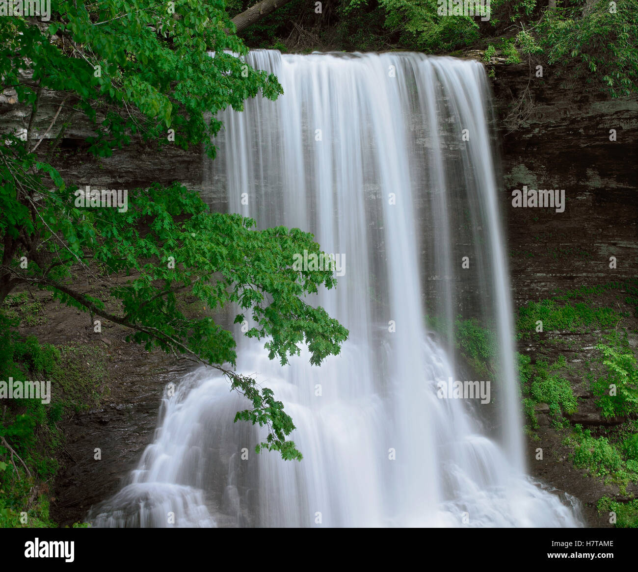 Cascading Waterfall In Jefferson National Forest Virginia Stock Photo