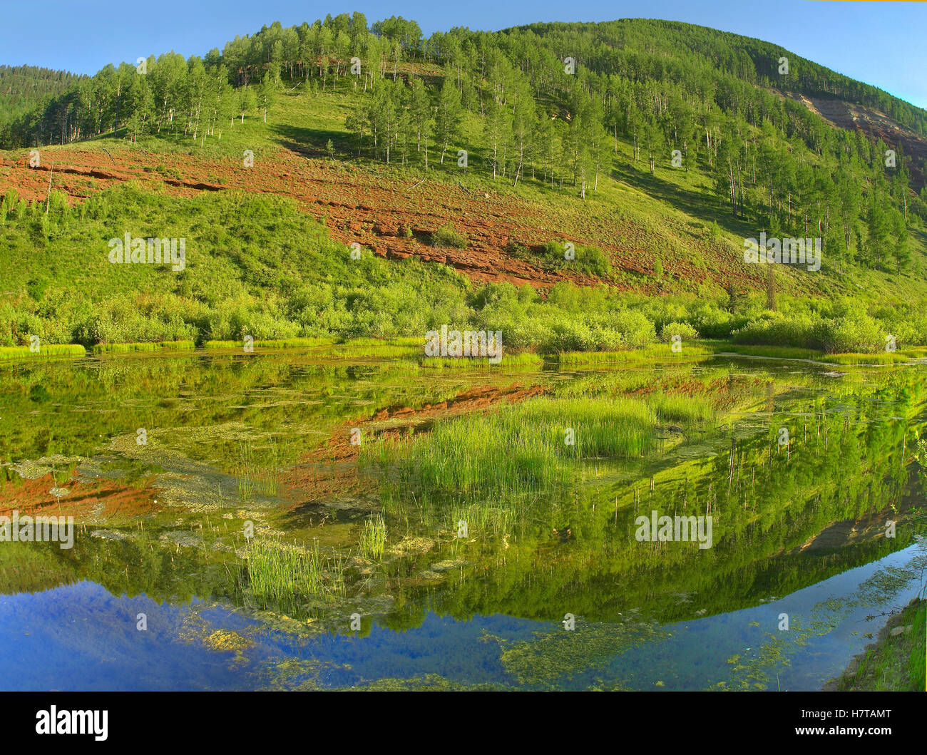 Rico Mountains reflected in Dolores River backwater near Rico, Colorado