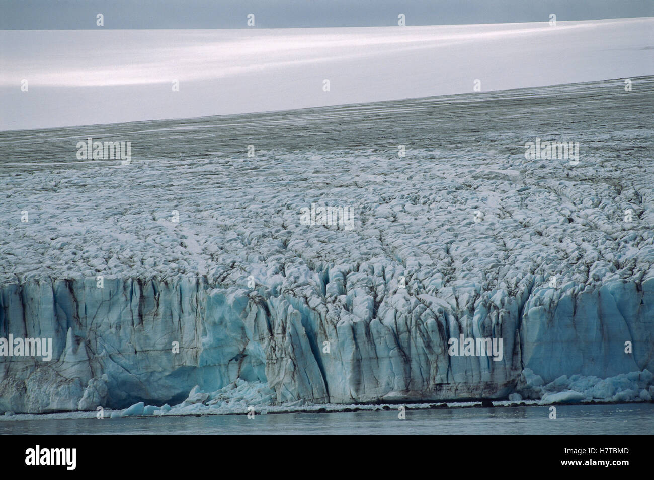 Glacial field in Yankee Harbor, Livingston Island, Antarctic Peninsula