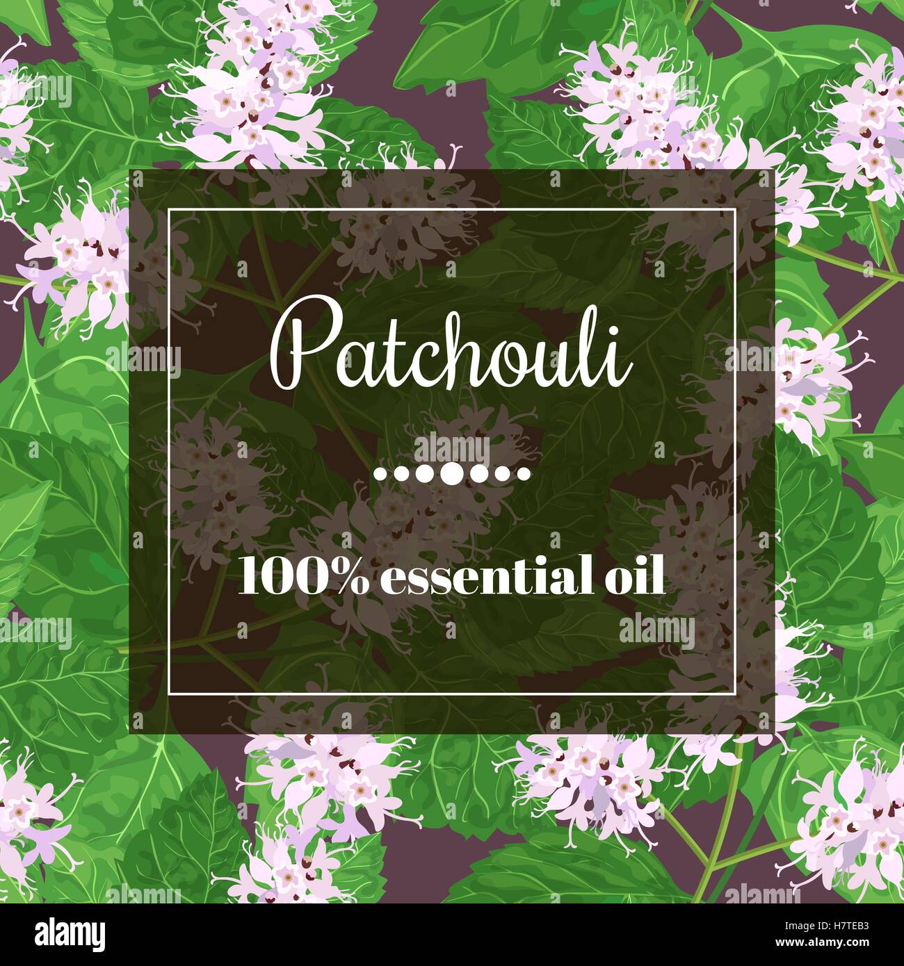 patchouli essential oil Stock Vector