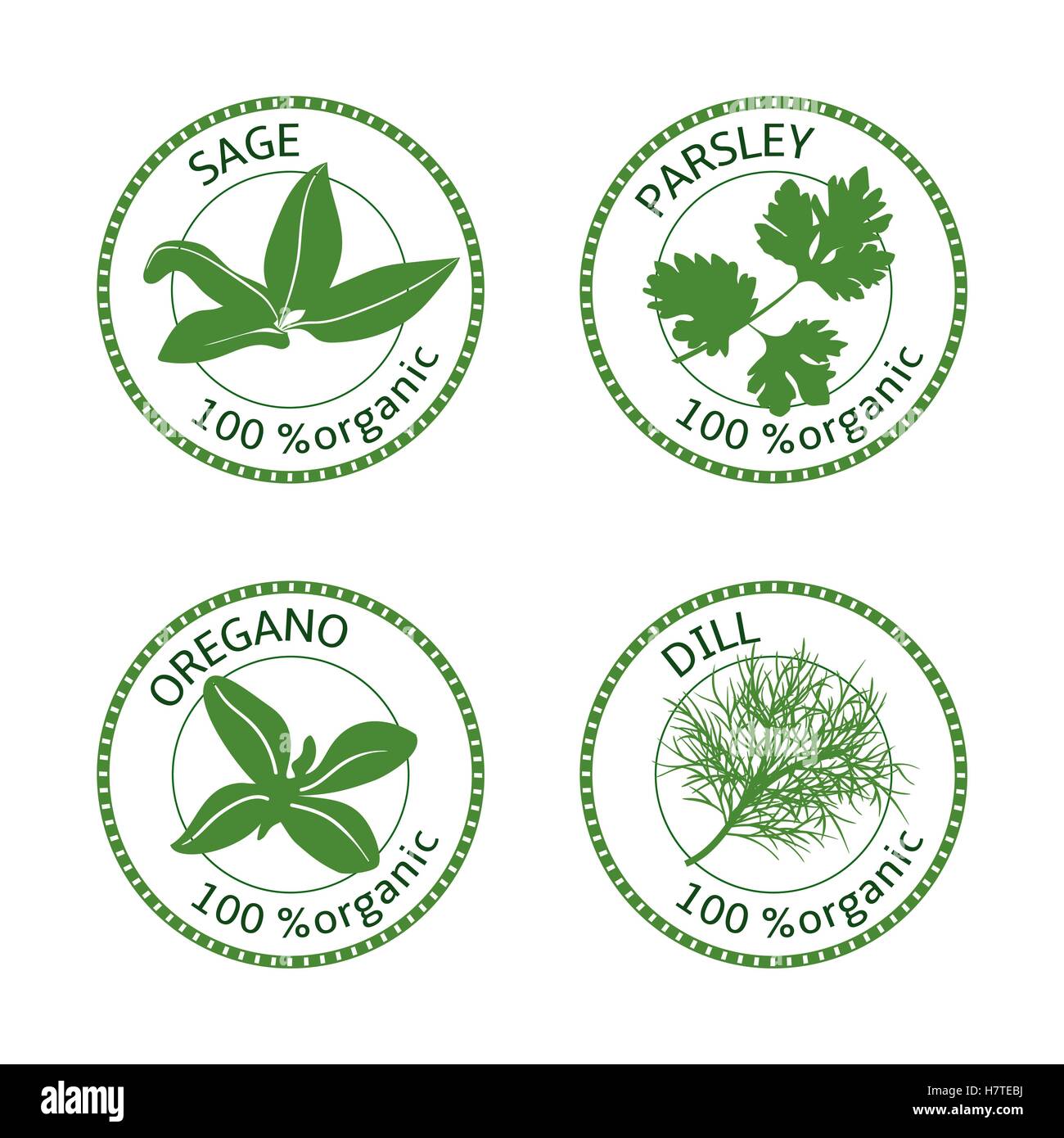 Set of herbs labels. 100 percent organic. Greenery collection. Vector illustration. Parsley, oregano dill sage Stock Vector