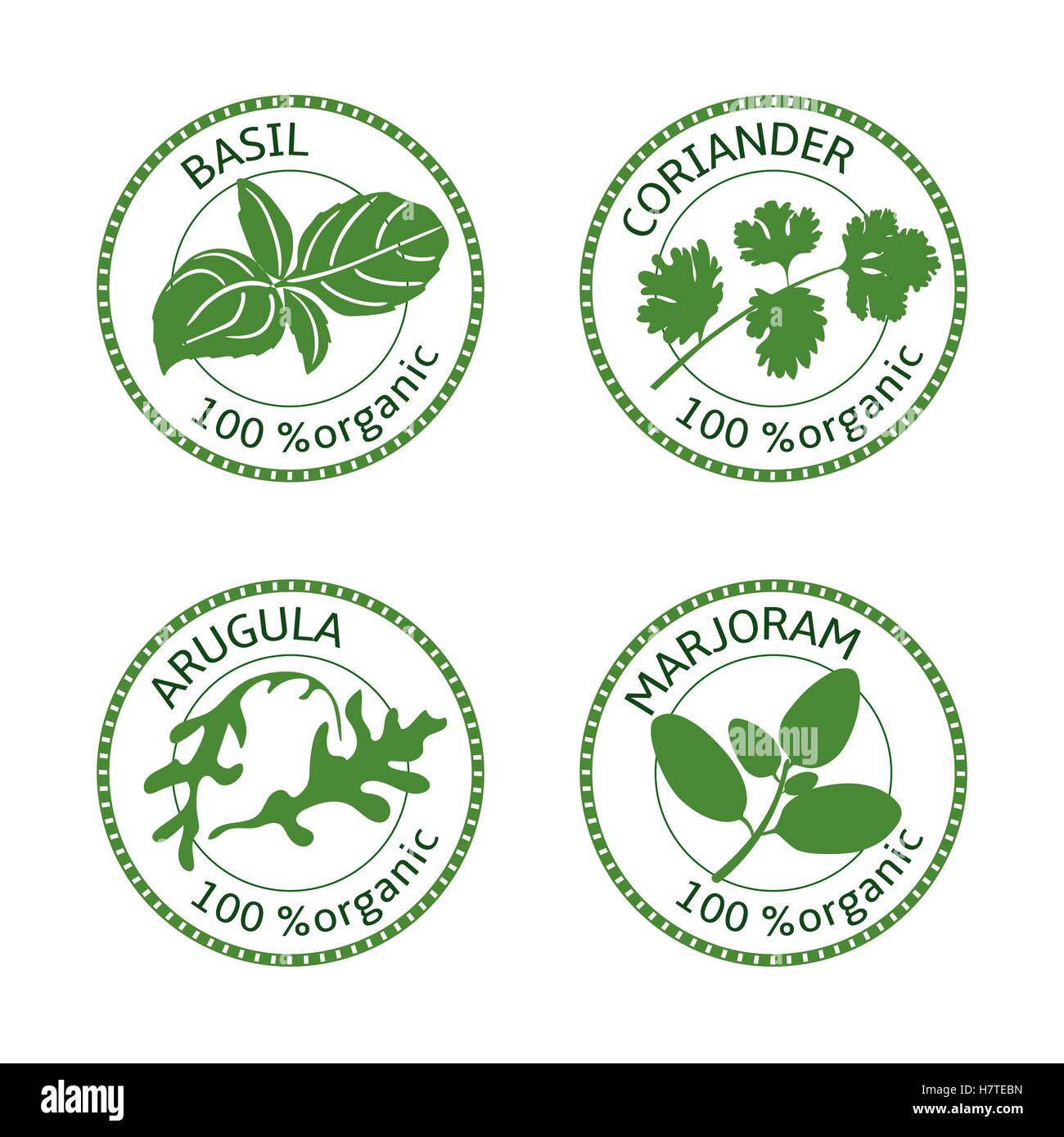 Set of herbs labels. 100 organic. Greenery collection. Vector illustration. Basil, arugula marjoram coriander Stock Vector