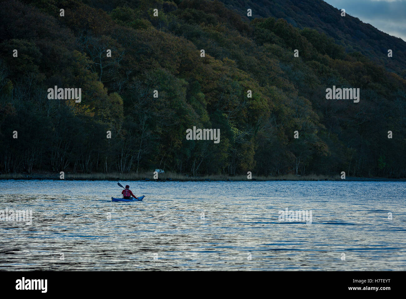 Canoeist on Coniston Water Stock Photo - Alamy