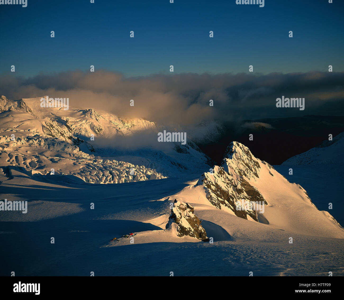 Sunrise on campsite, Franz Josef Glacier, Westland National Park, New